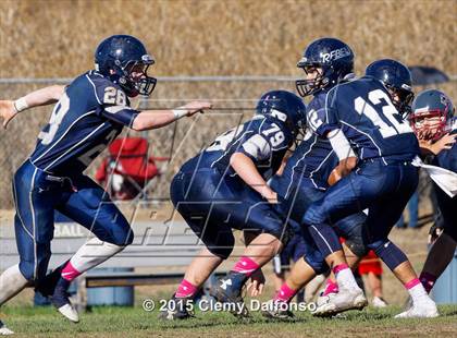 Thumbnail 2 in Chatfield @ Columbine photogallery.