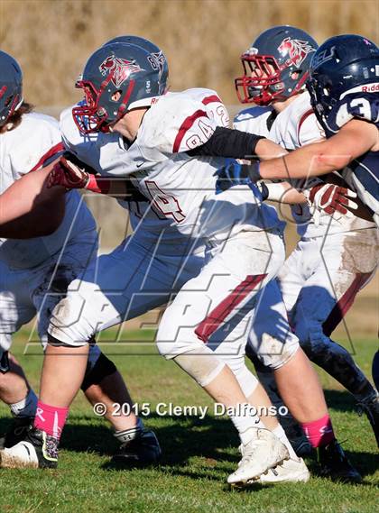Thumbnail 1 in Chatfield @ Columbine photogallery.