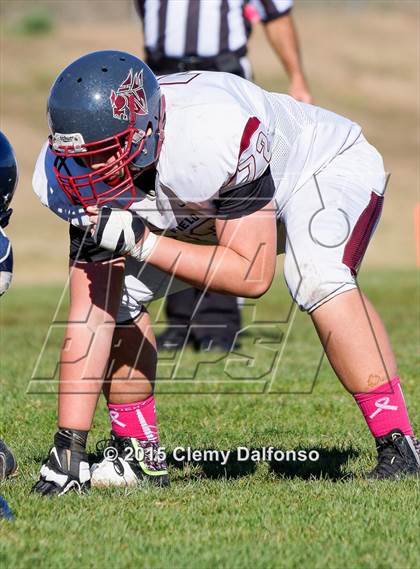 Thumbnail 1 in Chatfield @ Columbine photogallery.
