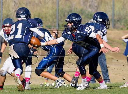 Thumbnail 2 in Chatfield @ Columbine photogallery.