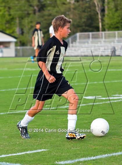 Thumbnail 3 in Croatan @ Havelock photogallery.