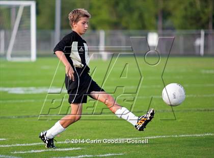 Thumbnail 1 in Croatan @ Havelock photogallery.