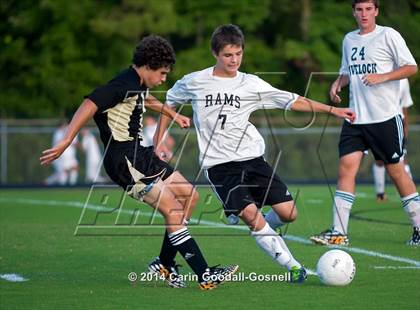 Thumbnail 3 in Croatan @ Havelock photogallery.