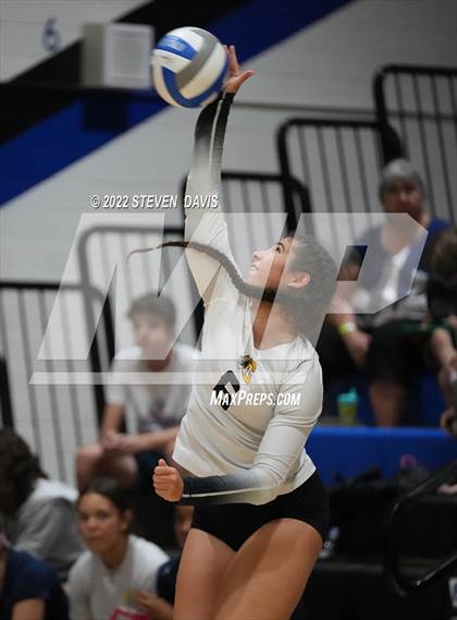 Thumbnail 2 in Perry vs Gilbert photogallery.