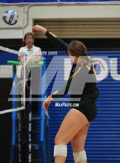 Thumbnail 1 in Perry vs Gilbert photogallery.