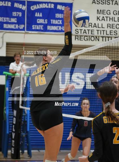 Thumbnail 1 in Perry vs Gilbert photogallery.