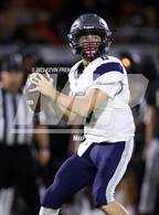Photo from the gallery "Cactus Shadows @ Desert Edge"