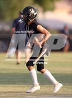 Photo from the gallery "Cactus Shadows @ Desert Edge"