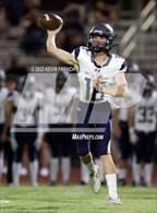 Photo from the gallery "Cactus Shadows @ Desert Edge"