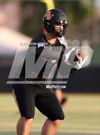 Photo from the gallery "Cactus Shadows @ Desert Edge"