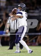 Photo from the gallery "Cactus Shadows @ Desert Edge"