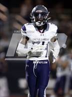 Photo from the gallery "Cactus Shadows @ Desert Edge"