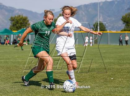 Thumbnail 3 in Hillcrest @ Taylorsville photogallery.