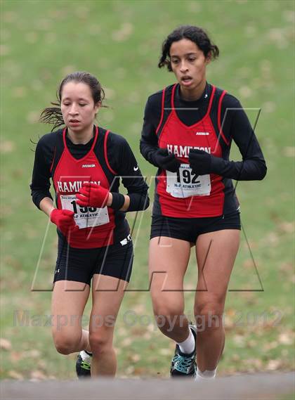 Thumbnail 1 in NYSPHSAA Cross Country Championships (Girls Class D) photogallery.