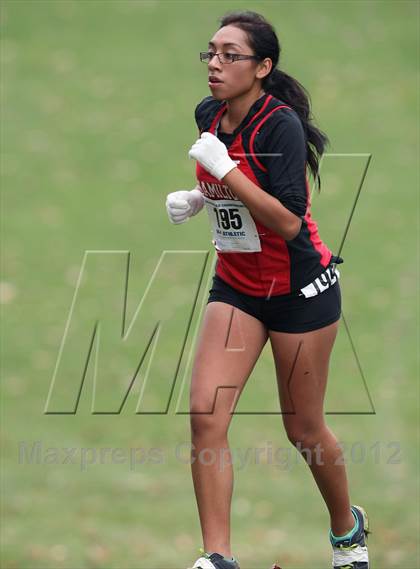 Thumbnail 3 in NYSPHSAA Cross Country Championships (Girls Class D) photogallery.