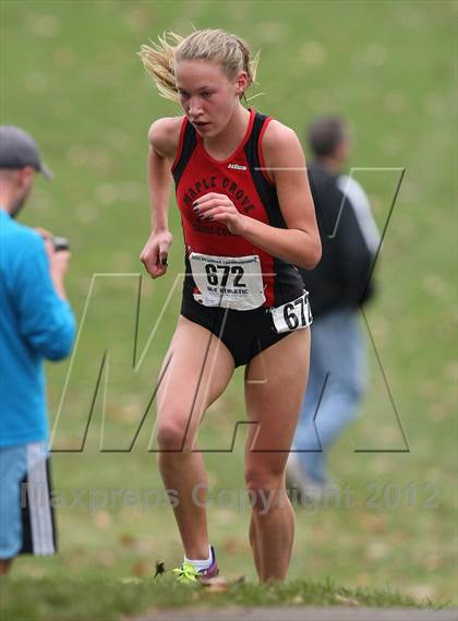 Thumbnail 1 in NYSPHSAA Cross Country Championships (Girls Class D) photogallery.