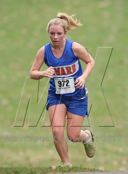Thumbnail 1 in NYSPHSAA Cross Country Championships (Girls Class D) photogallery.