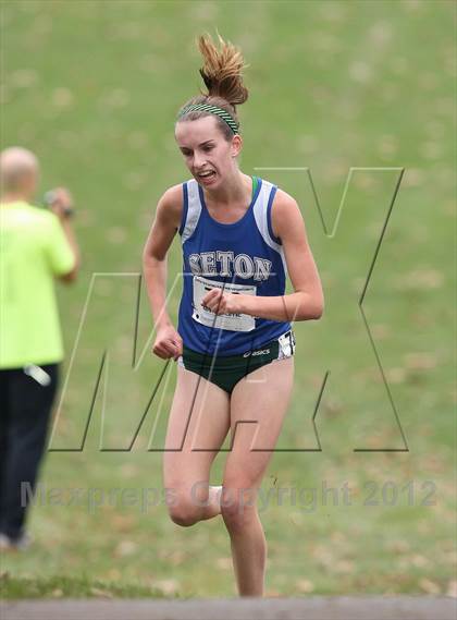 Thumbnail 1 in NYSPHSAA Cross Country Championships (Girls Class D) photogallery.