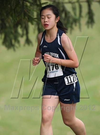 Thumbnail 2 in NYSPHSAA Cross Country Championships (Girls Class D) photogallery.