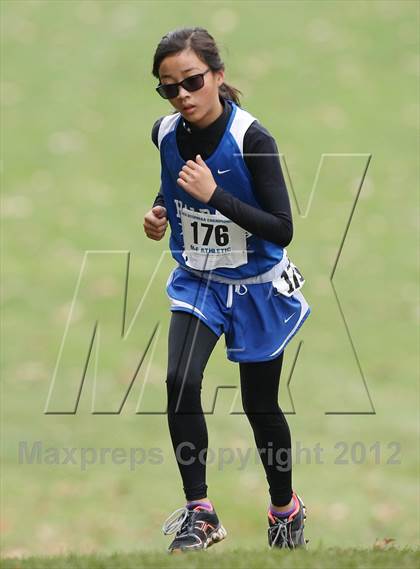 Thumbnail 3 in NYSPHSAA Cross Country Championships (Girls Class D) photogallery.
