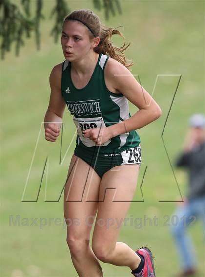 Thumbnail 1 in NYSPHSAA Cross Country Championships (Girls Class D) photogallery.