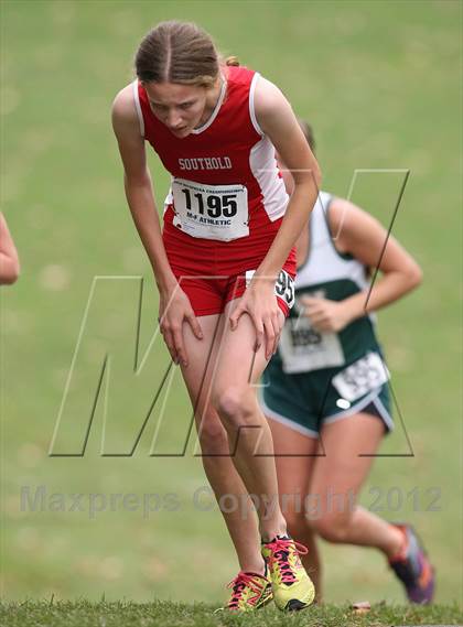 Thumbnail 2 in NYSPHSAA Cross Country Championships (Girls Class D) photogallery.