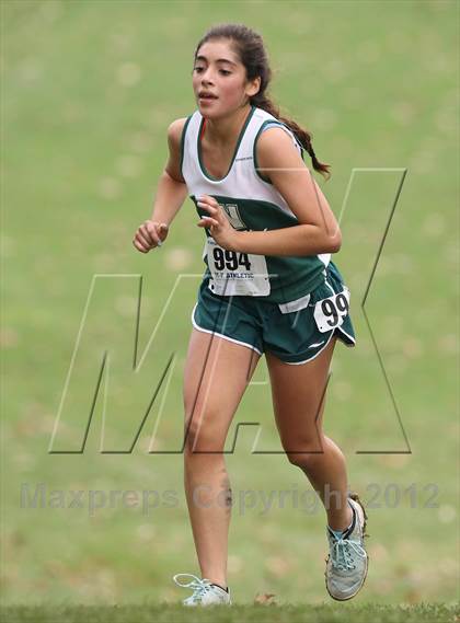 Thumbnail 2 in NYSPHSAA Cross Country Championships (Girls Class D) photogallery.