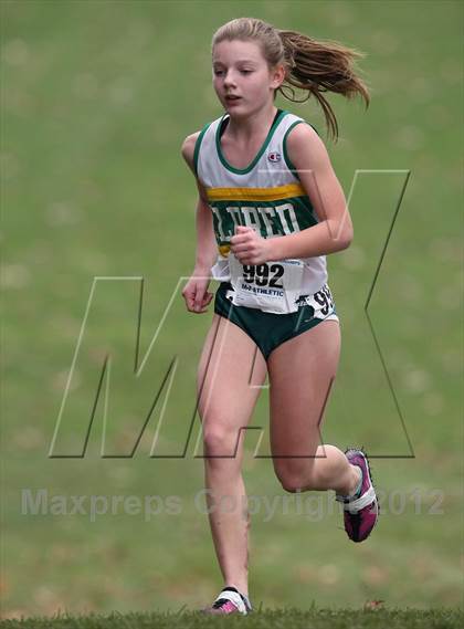 Thumbnail 3 in NYSPHSAA Cross Country Championships (Girls Class D) photogallery.