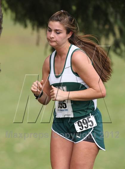 Thumbnail 1 in NYSPHSAA Cross Country Championships (Girls Class D) photogallery.