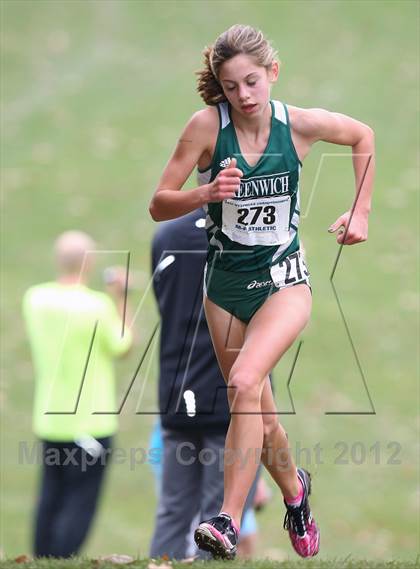 Thumbnail 1 in NYSPHSAA Cross Country Championships (Girls Class D) photogallery.