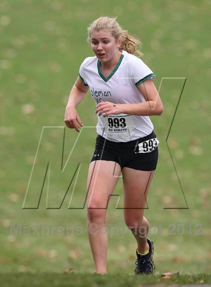 Thumbnail 1 in NYSPHSAA Cross Country Championships (Girls Class D) photogallery.