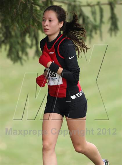 Thumbnail 1 in NYSPHSAA Cross Country Championships (Girls Class D) photogallery.