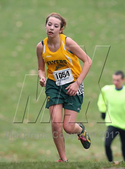 Thumbnail 3 in NYSPHSAA Cross Country Championships (Girls Class D) photogallery.
