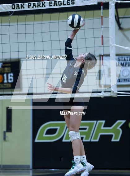 Thumbnail 1 in Royal vs. Oak Park photogallery.