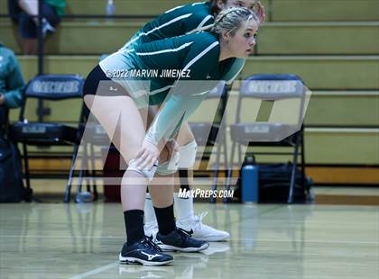 Thumbnail 2 in Royal vs. Oak Park photogallery.