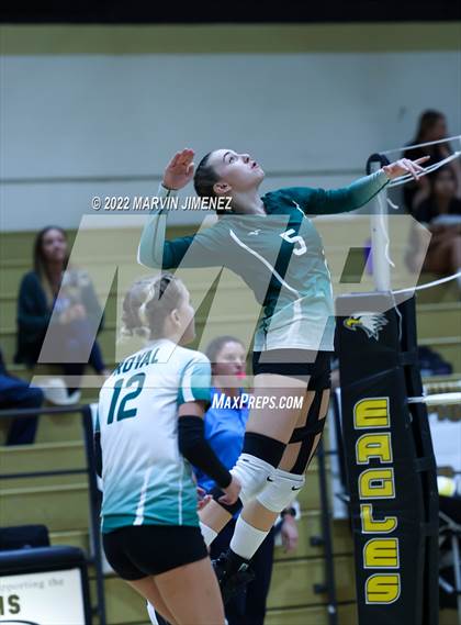 Thumbnail 2 in Royal vs. Oak Park photogallery.
