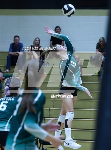 Thumbnail 1 in Royal vs. Oak Park photogallery.