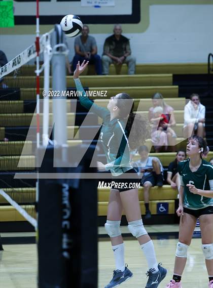 Thumbnail 1 in Royal vs. Oak Park photogallery.