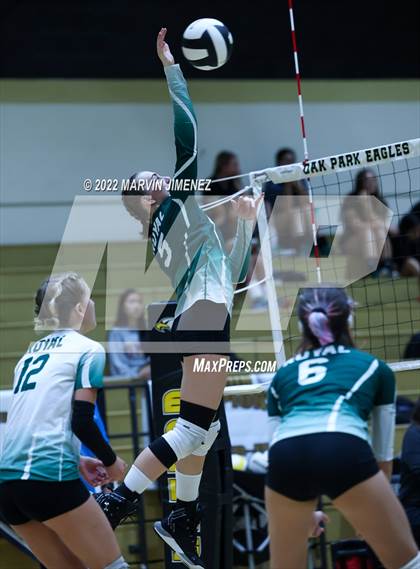 Thumbnail 3 in Royal vs. Oak Park photogallery.