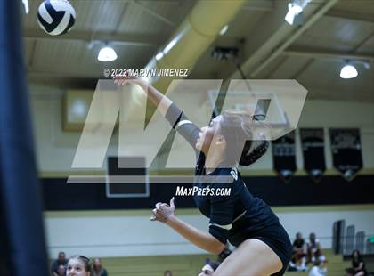 Thumbnail 3 in Royal vs. Oak Park photogallery.