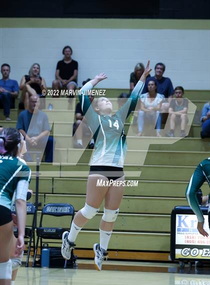 Thumbnail 1 in Royal vs. Oak Park photogallery.