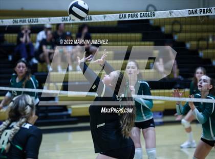 Thumbnail 3 in Royal vs. Oak Park photogallery.