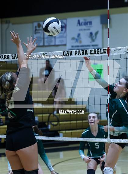 Thumbnail 2 in Royal vs. Oak Park photogallery.