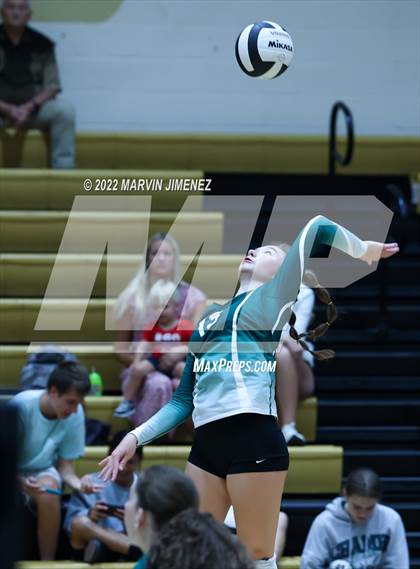 Thumbnail 2 in Royal vs. Oak Park photogallery.
