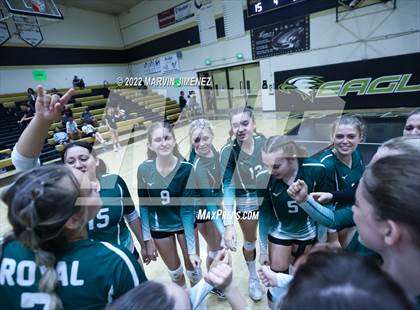 Thumbnail 1 in Royal vs. Oak Park photogallery.