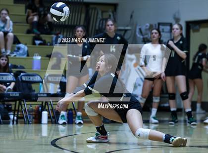 Thumbnail 2 in Royal vs. Oak Park photogallery.