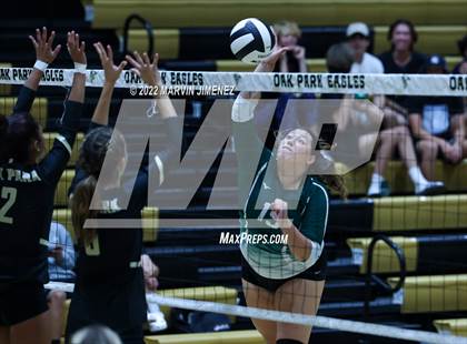 Thumbnail 1 in Royal vs. Oak Park photogallery.