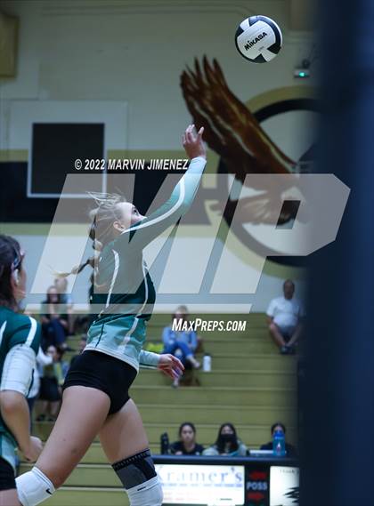 Thumbnail 3 in Royal vs. Oak Park photogallery.