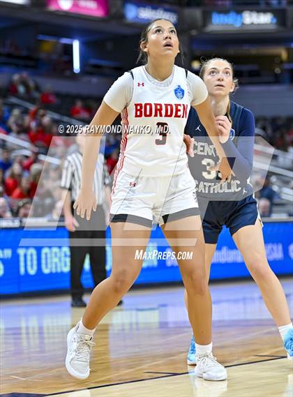 Thumbnail 2 in Borden vs. Lafayette Central Catholic photogallery.