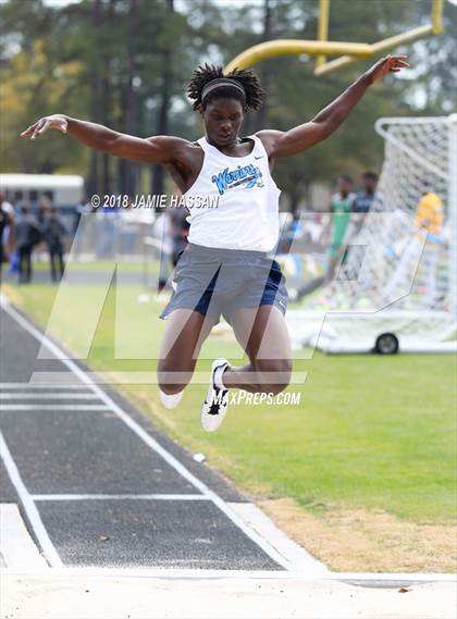Thumbnail 1 in West Ashley Relays  photogallery.